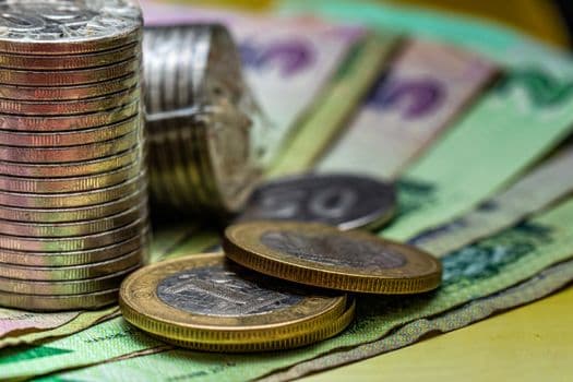 Ciencias de Gestión Económica